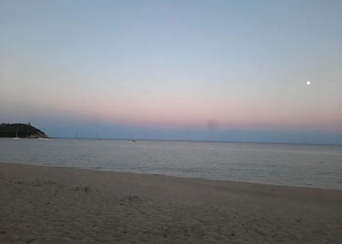 Tortoli' 托尔托利